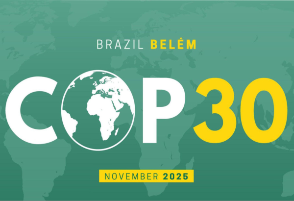 COP-a sədrlik Azərbaycandan Braziliyaya təhvil verilib
